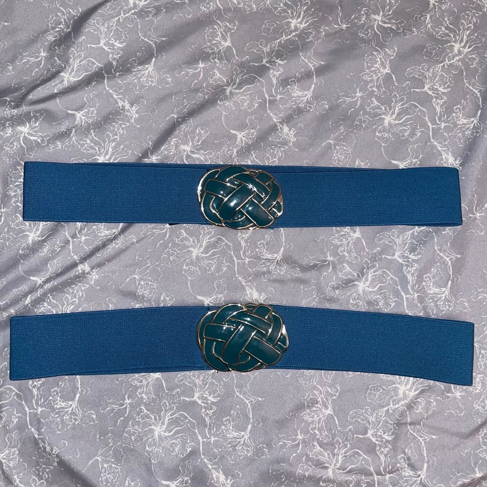 Deena & Ozzy Teal Clasp Broach Wide Belt